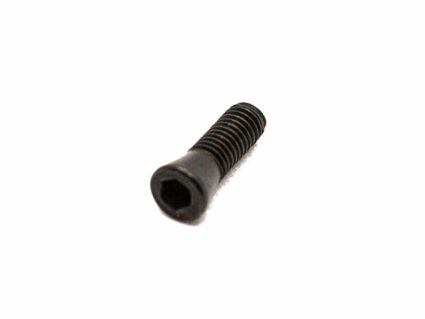 Short Bolt Carrier Screw (Part 78 &326)